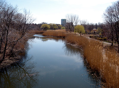 Parque Back Bay Fens Park de Boston