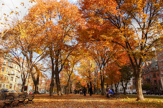 Commonwealth Avenue Mall de Boston