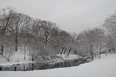 Parque Riverway de Boston