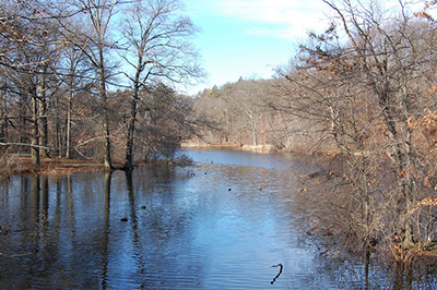 laguna Scarboro Pond en el parque Franklin Park de Boston