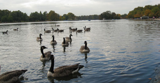 Hyde Park de Londres