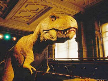 Tyrannosaurus Rex en el museo de Ciencias Naturales de Londres