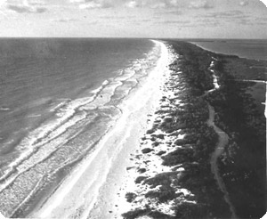 Playas vírgenes de Cancún