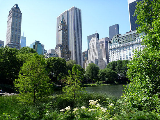 Foto de Central Park de Nueva York Foto de Central Park de Nueva York