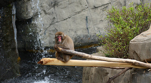Foto de Central Park Zoo