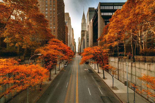 Nueva York en otoo