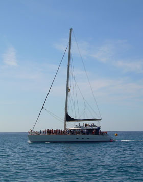 Foto de un barco de excursin para ver las ballenas piloto