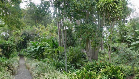 Jardn Botanico de la Orotava en Puerto de la Cruz